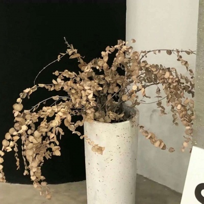 Furry萌系风格设计技巧兽圈群